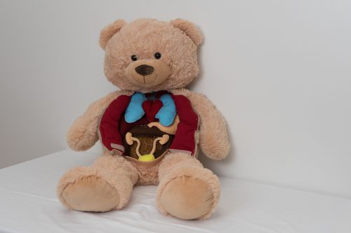 TBK-Organteddy-05256